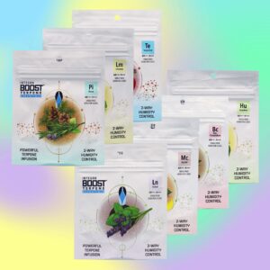 Assorted terpene infusion product pouches